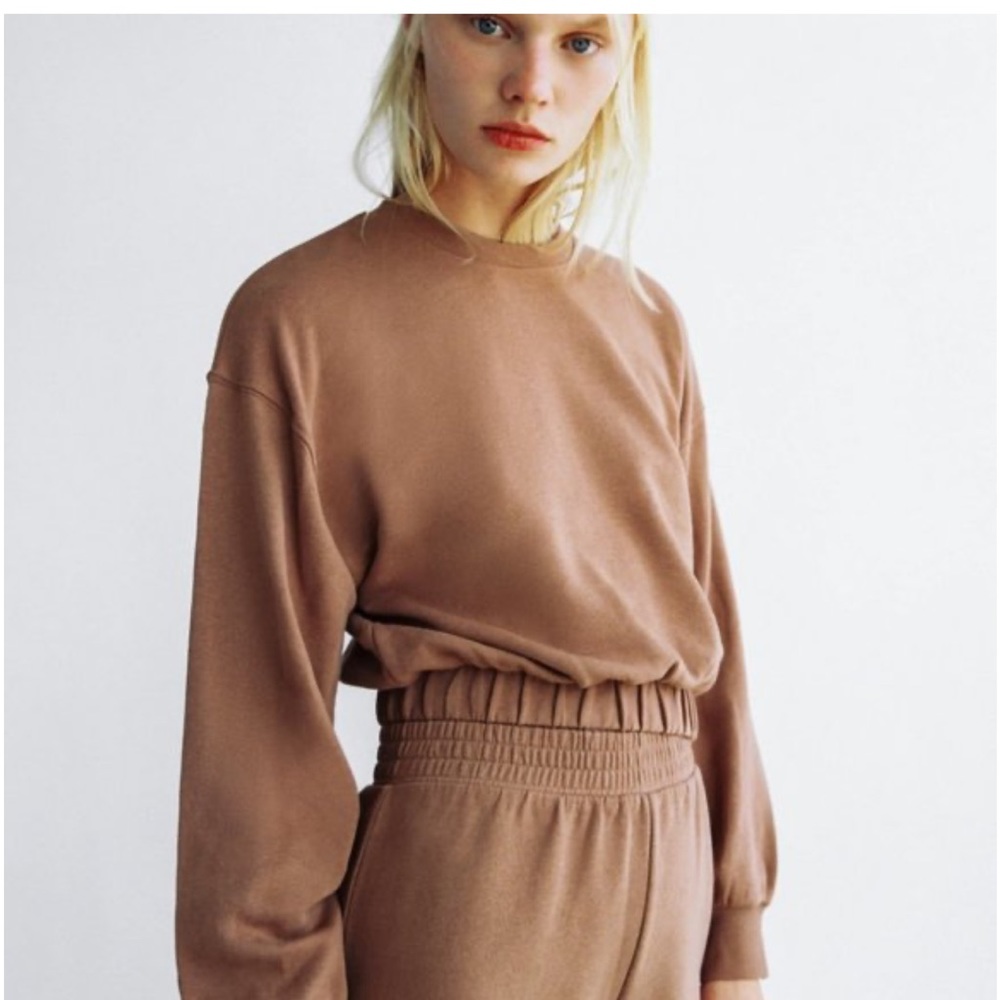 Zara Brown Crewneck Sweater